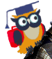 Wise Graduation Owl